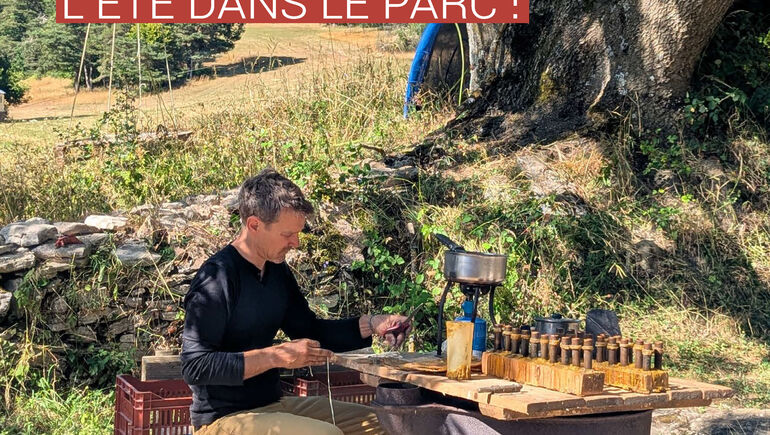 Festival Bien l’Bourgeon